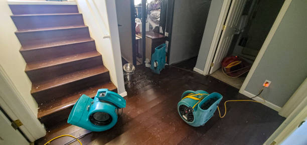 Best Professional water damage repair  in La Honda, CA