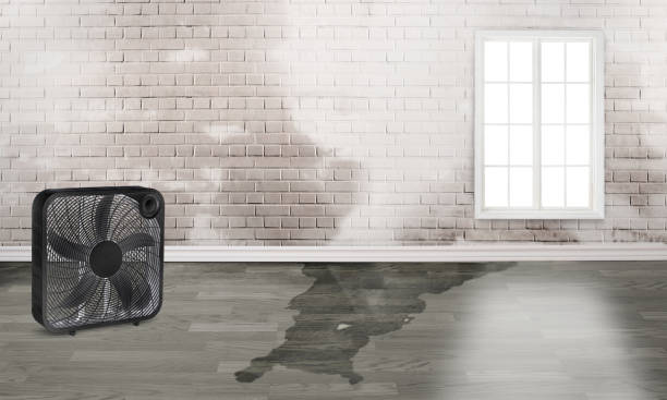 Sewage cleanup and water damage restoration in La Honda, CA