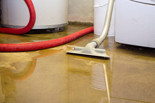 Best Water damage contractors near me  in La Honda, CA