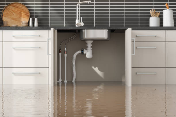 Best Ceiling water damage repair  in La Honda, CA