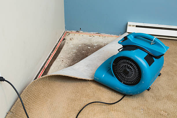 Best Water damage contractors near me  in La Honda, CA